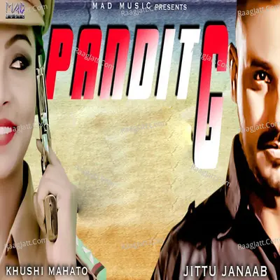 Pandit Ji Cover