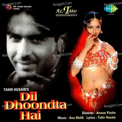 Dil Dhoondta Hai Poster