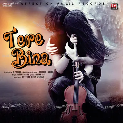 Tere Bina Cover