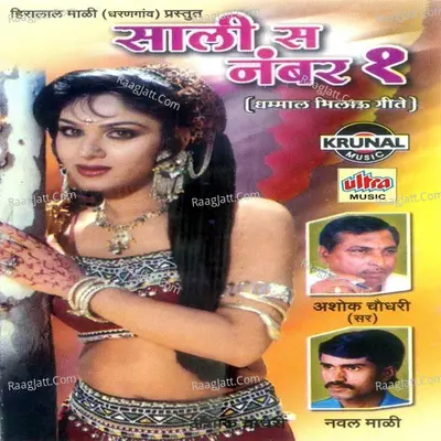 Sali Sa Number-1 - Ashok Chaudhary