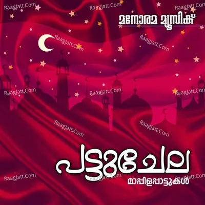 Pattu Chela Poster