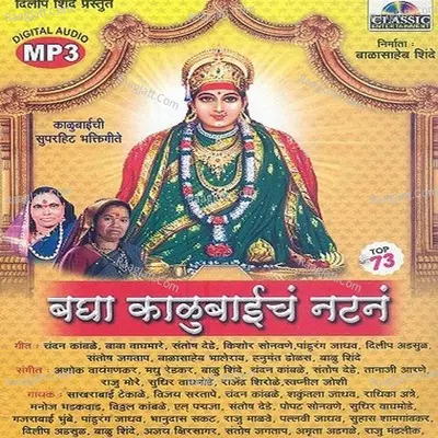 Bagha Kalubaicha Natan Poster