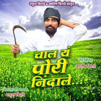 Aatish Birade Image