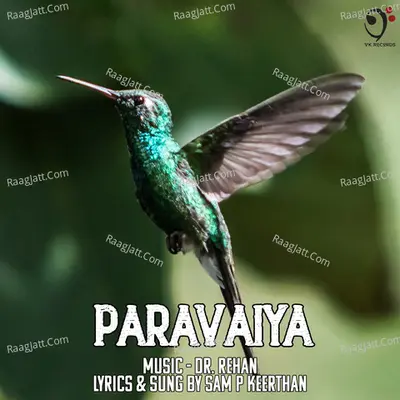 Paravaiya Cover