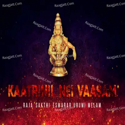 Kaatrinil Nei Vaasam