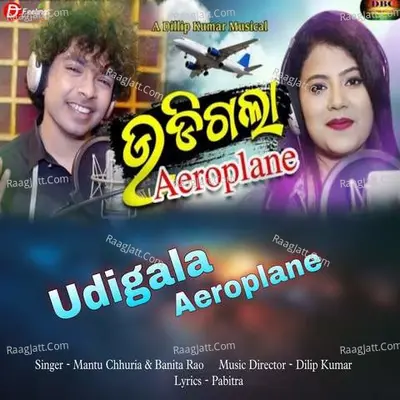 Udigala Aeroplane Cover