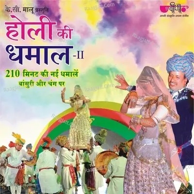 Holi Ki Dhamal - 2 Poster