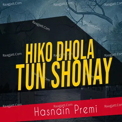 Hiko Dhola Tun Shonay Cover