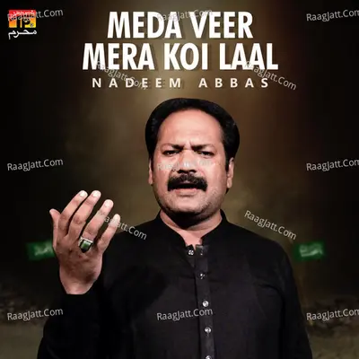 Meda Veer Mera Koi Laal - Single