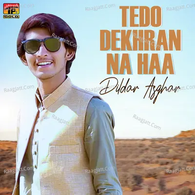 Tedo Dekhran Na Haa - Single Cover