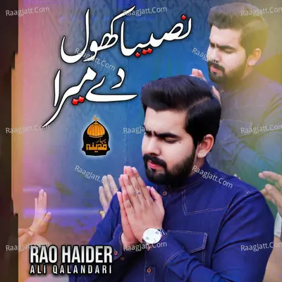 Rao Haider Ali Qalandari Image