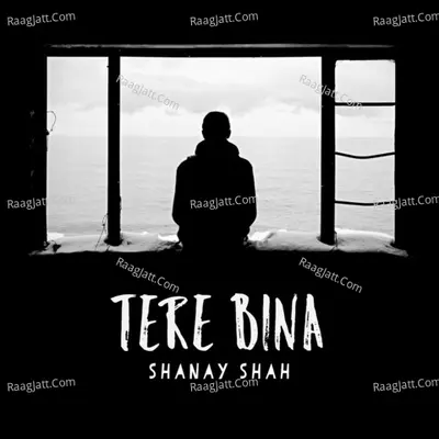 Tere Bina