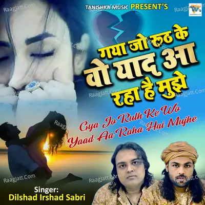 Dilshad Irshad Sabri Image