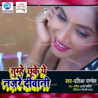 Tumhe Chhuke Ye Nazrein Deewani Cover