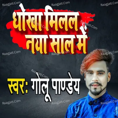 Dhoka Milal Nya Sal Me