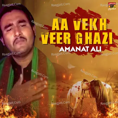 Aa Vekh Veer Ghazi - Single Cover