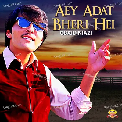 Aey Adat Bheri Hei Poster