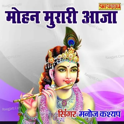 Mohan Murari Aaja Braj Bihar Aja Cover