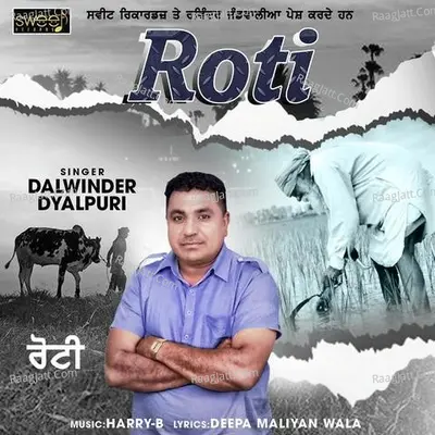 Roti Cover