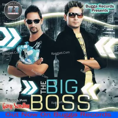 Big Boss Poster