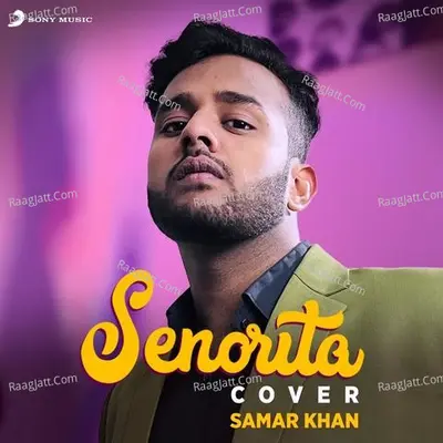 Senorita (Cover Version)