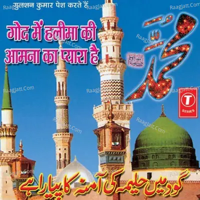 God Mein Halima Ki Aamna Ka Pyara Hai - Taslim-Aashif(Saidpur Badaun)