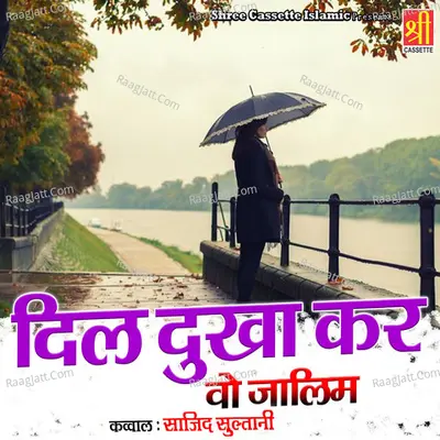 Dil Dukha Kar Wo Zalim Poster
