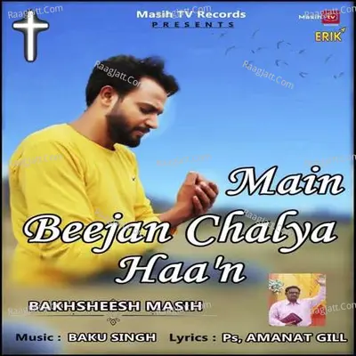 Main Beejan Chalya Haan Cover