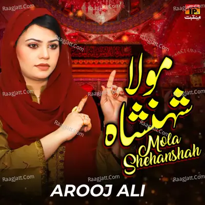 Mola Shehanshah - Single