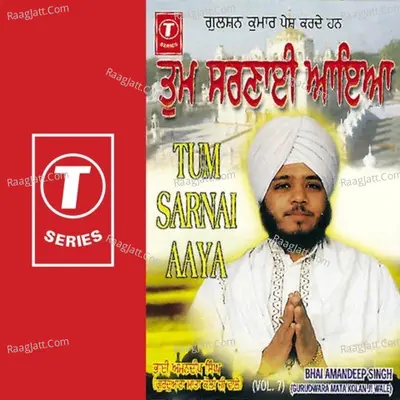 Tum Sarnai Aaya - Bhai Amandeep Singh Ji