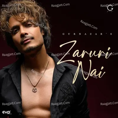 Zaruri Nai Cover