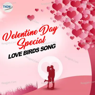 Valentine Day Special Love Birds Song Poster