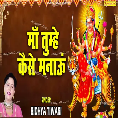 Vidhya Tanwar