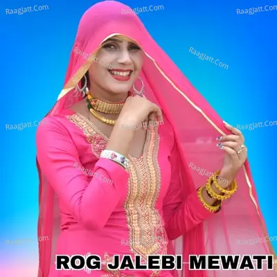 Rog Jalebi Mewati Poster