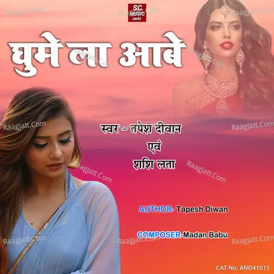 Tapesh Diwan