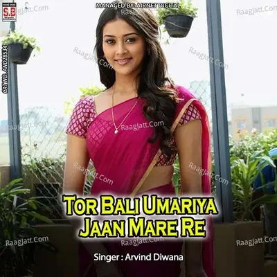 Tor Bali Umariya Jaan Mare Re Cover