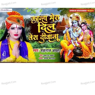 Kanha Mera Dil Tera Deewana 2 Cover