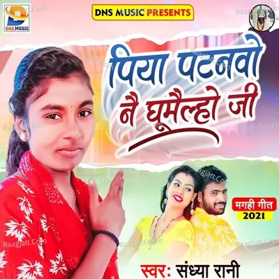 Piya Patanvo Nai Ghumailho Ji Cover