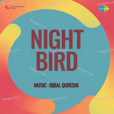 Night Bird Poster