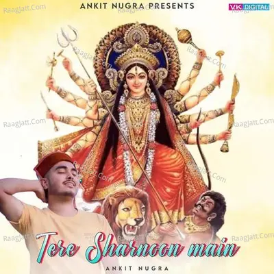Tere Sarnoon Mein