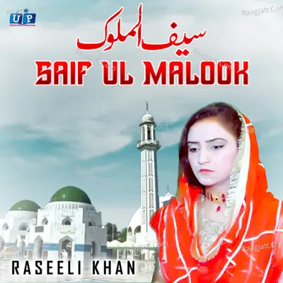 Saif Ul Malook - Single Cover