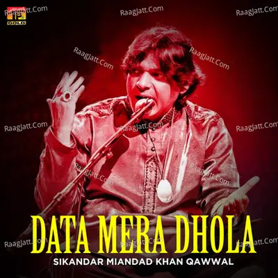 Data Mera Dhola Poster