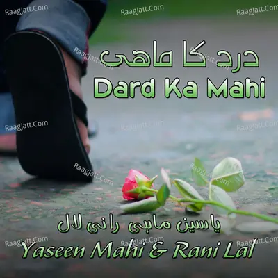 Dard Ka Mahi - Yaseen Mahi