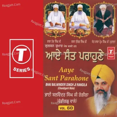 Aaye Sant Parahone Vol.60 Cover