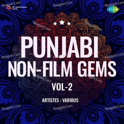 Punjabi Non - Film Gems Vol - 2 Cover