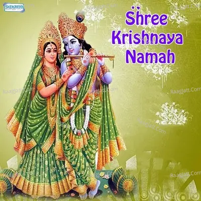 Shree Krishnaya Namah - Amit