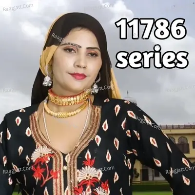11786 Series Cover