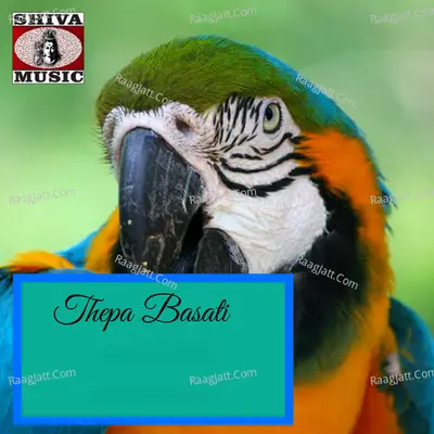 Thepa Basati  Poster