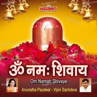 Om Namah Shivaye - D. V. Ramani