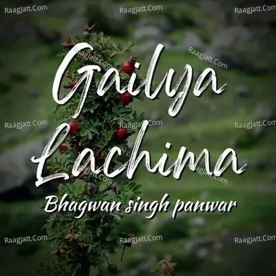Gailya Lachima